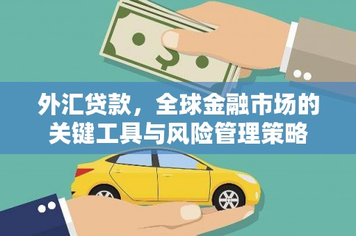 岱岳外汇贷款，全球金融市场的关键工具与风险管理策略