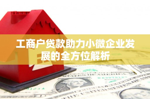 岱岳工商户贷款助力小微企业发展的全方位解析