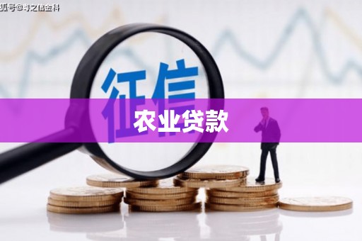 岱岳农业贷款