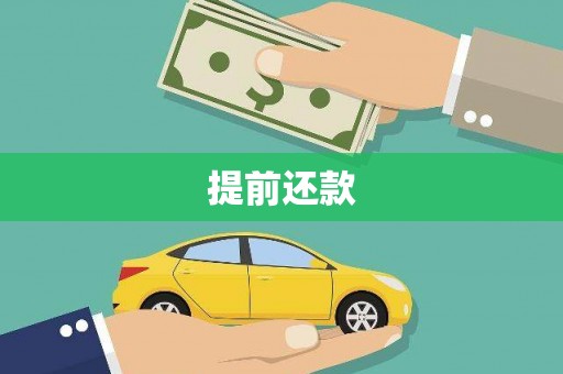 岱岳提前还款
