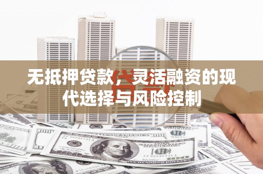 岱岳无抵押贷款，灵活融资的现代选择与风险控制