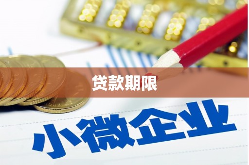 岱岳贷款期限