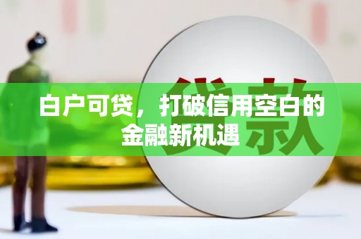 岱岳白户可贷，打破信用空白的金融新机遇