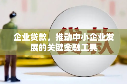 岱岳企业贷款，推动中小企业发展的关键金融工具