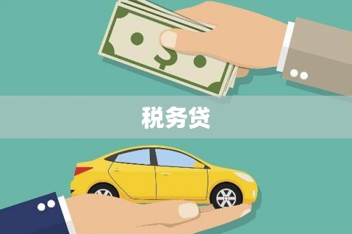岱岳税务贷