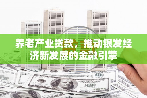 岱岳养老产业贷款，推动银发经济新发展的金融引擎