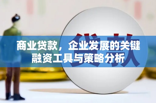 岱岳商业贷款，企业发展的关键融资工具与策略分析