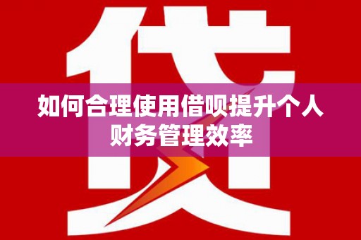 岱岳如何合理使用借呗提升个人财务管理效率