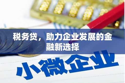 岱岳税务贷，助力企业发展的金融新选择