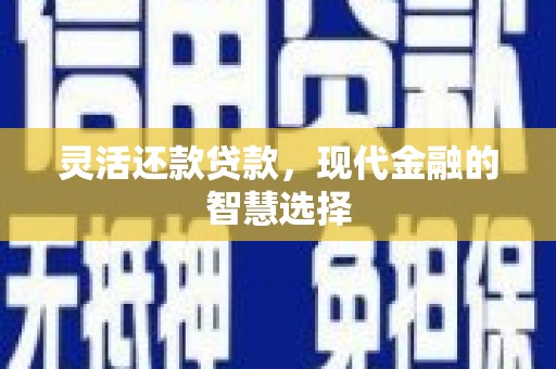 岱岳灵活还款贷款，现代金融的智慧选择