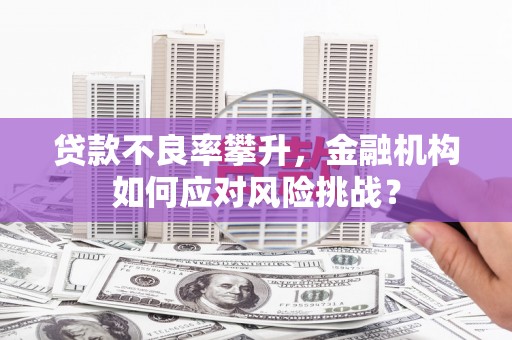 岱岳贷款不良率攀升，金融机构如何应对风险挑战？