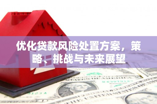 岱岳优化贷款风险处置方案，策略、挑战与未来展望
