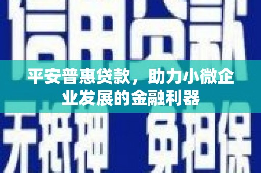 岱岳平安普惠贷款，助力小微企业发展的金融利器