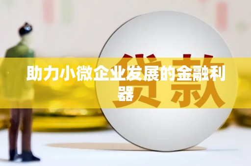 岱岳助力小微企业发展的金融利器