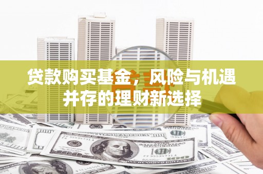 岱岳贷款购买基金，风险与机遇并存的理财新选择