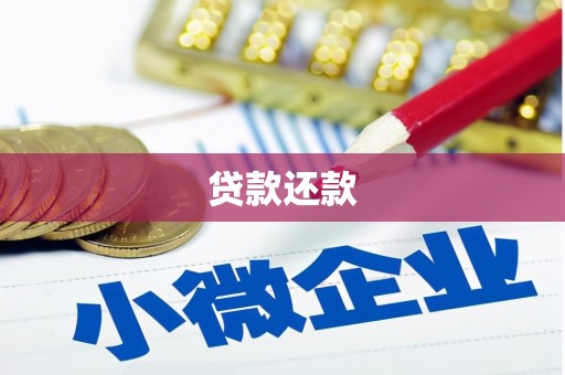 岱岳贷款还款