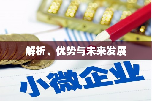 岱岳解析、优势与未来发展
