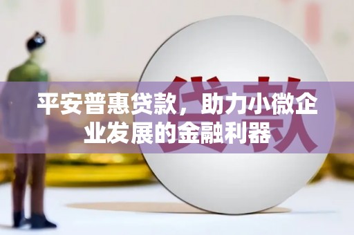岱岳平安普惠贷款，助力小微企业发展的金融利器