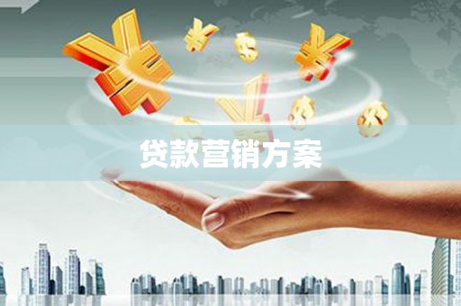 岱岳贷款营销方案