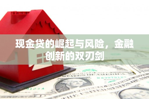 岱岳现金贷的崛起与风险，金融创新的双刃剑