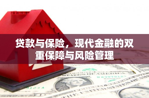岱岳贷款与保险，现代金融的双重保障与风险管理