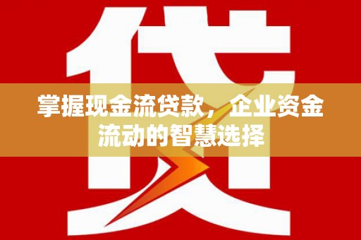 岱岳掌握现金流贷款，企业资金流动的智慧选择