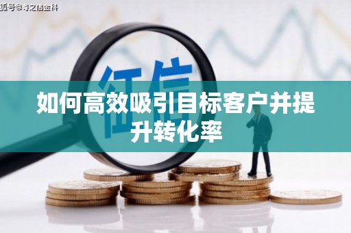 岱岳如何高效吸引目标客户并提升转化率
