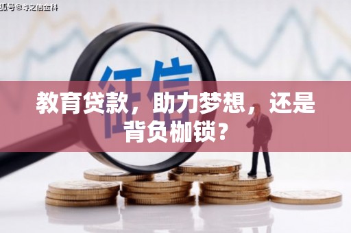 岱岳教育贷款，助力梦想，还是背负枷锁？