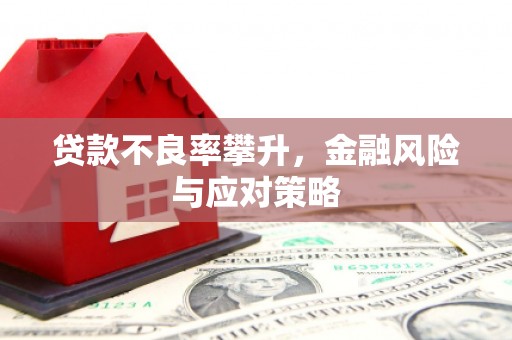 岱岳贷款不良率攀升，金融风险与应对策略
