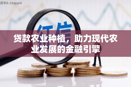 岱岳贷款农业种植，助力现代农业发展的金融引擎