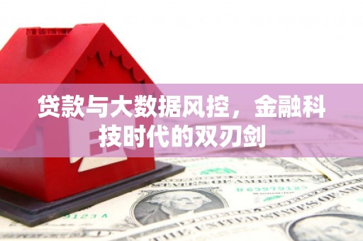 岱岳贷款与大数据风控，金融科技时代的双刃剑