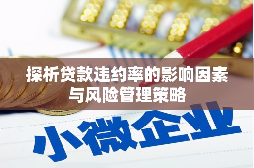 岱岳探析贷款违约率的影响因素与风险管理策略