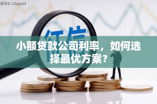 岱岳小额贷款公司利率，如何选择最优方案？