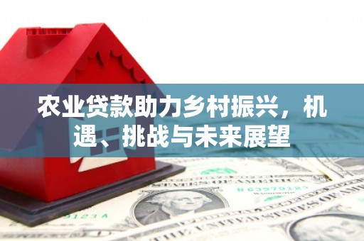 岱岳农业贷款助力乡村振兴，机遇、挑战与未来展望