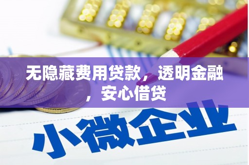 岱岳无隐藏费用贷款，透明金融，安心借贷