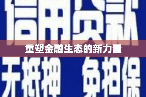岱岳重塑金融生态的新力量