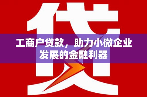 岱岳工商户贷款，助力小微企业发展的金融利器