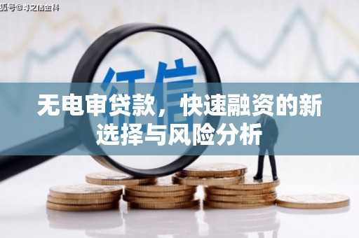 岱岳无电审贷款，快速融资的新选择与风险分析