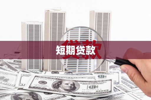 岱岳短期贷款