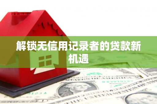 岱岳解锁无信用记录者的贷款新机遇