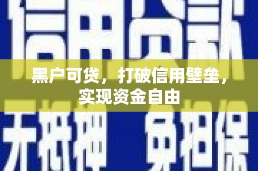 岱岳黑户可贷，打破信用壁垒，实现资金自由