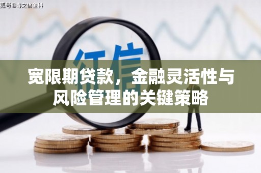 岱岳宽限期贷款，金融灵活性与风险管理的关键策略