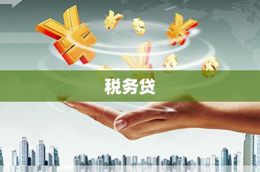 岱岳税务贷