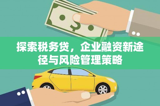 岱岳探索税务贷，企业融资新途径与风险管理策略