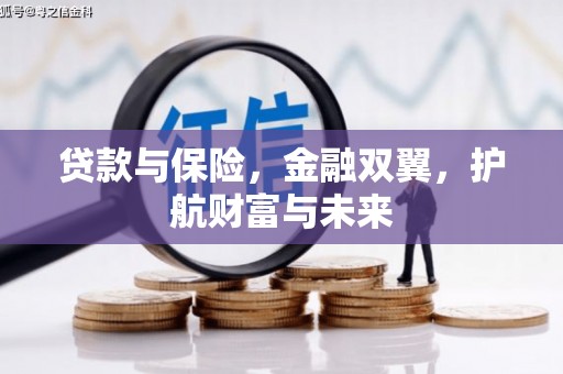 岱岳贷款与保险，金融双翼，护航财富与未来