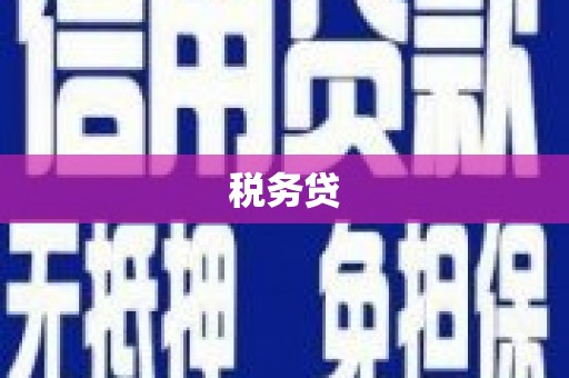 岱岳税务贷