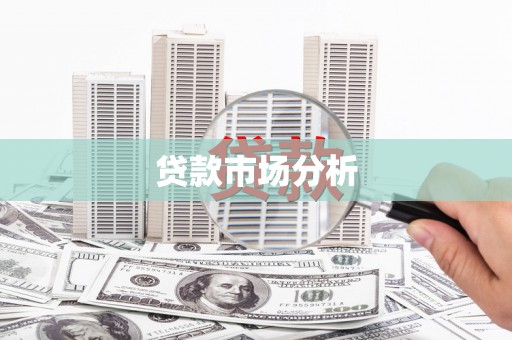 岱岳贷款市场分析