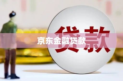 岱岳京东金融贷款