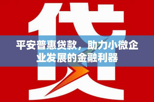 岱岳平安普惠贷款，助力小微企业发展的金融利器