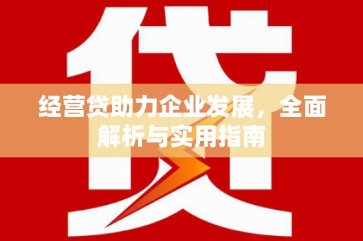 岱岳经营贷助力企业发展，全面解析与实用指南